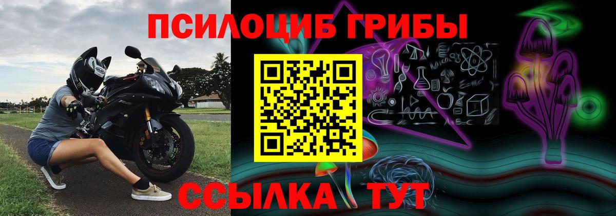 Псилоцибиновые грибы ЛСД Чистополь