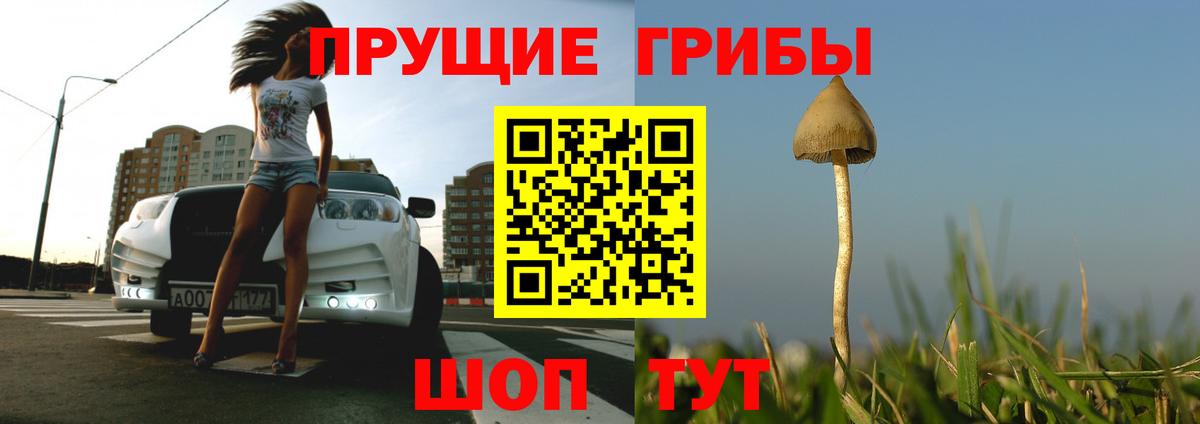 Галлюциногенные грибы прущие грибы  Вход с VPN  Чистополь  хочу наркоту  Псилоцибиновые грибы Psilocybe 